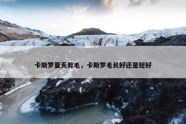 卡斯罗夏天剪毛，卡斯罗毛长好还是短好