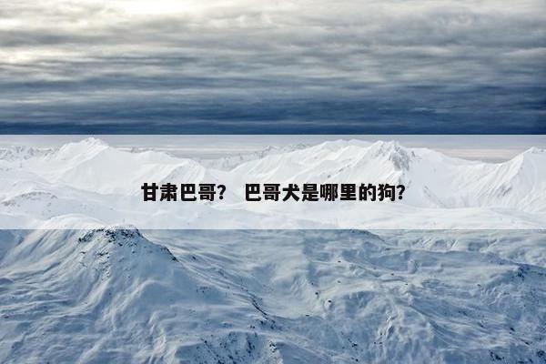 甘肃巴哥？ 巴哥犬是哪里的狗？