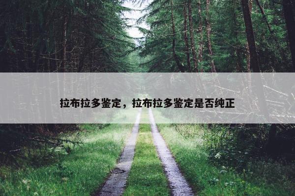 拉布拉多鉴定，拉布拉多鉴定是否纯正