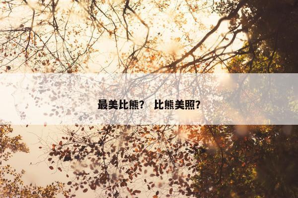 最美比熊？ 比熊美照？
