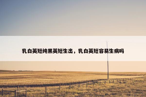 乳白英短纯黑英短生出，乳白英短容易生病吗