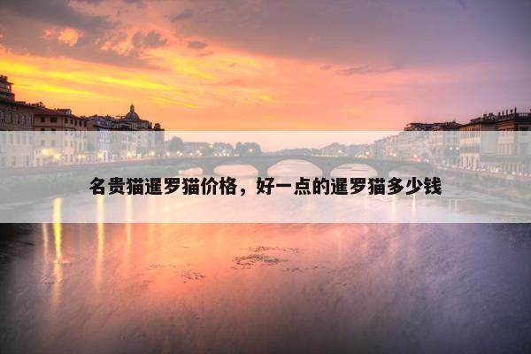 名贵猫暹罗猫价格，好一点的暹罗猫多少钱