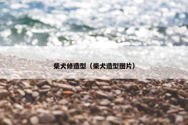 柴犬修造型（柴犬造型图片）