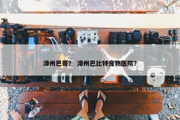 漳州巴哥？ 漳州巴比特宠物医院？