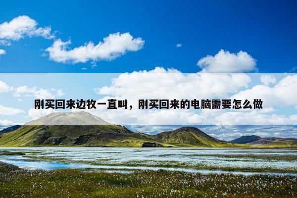 刚买回来边牧一直叫，刚买回来的电脑需要怎么做