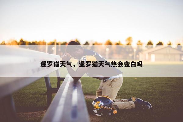 暹罗猫天气，暹罗猫天气热会变白吗