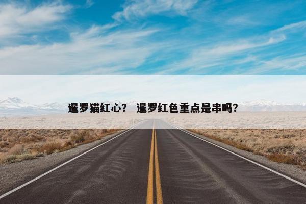 暹罗猫红心？ 暹罗红色重点是串吗？