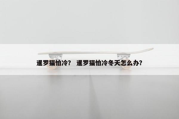 暹罗猫怕冷？ 暹罗猫怕冷冬天怎么办？