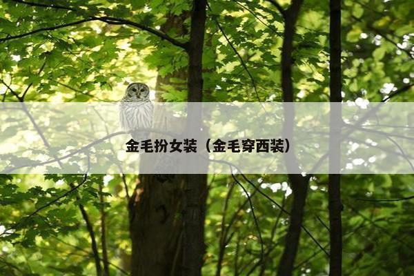 金毛扮女装（金毛穿西装）