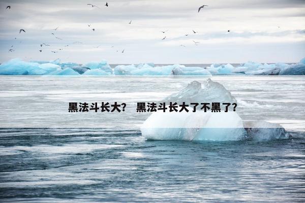 黑法斗长大？ 黑法斗长大了不黑了？