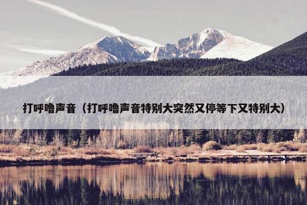 打呼噜声音（打呼噜声音特别大突然又停等下又特别大）