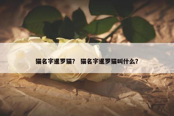 猫名字暹罗猫？ 猫名字暹罗猫叫什么？
