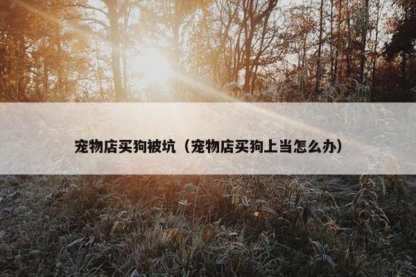 宠物店买狗被坑（宠物店买狗上当怎么办）