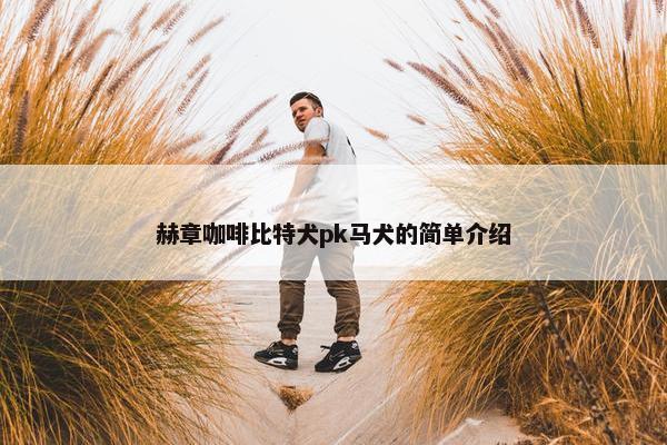 赫章咖啡比特犬pk马犬的简单介绍
