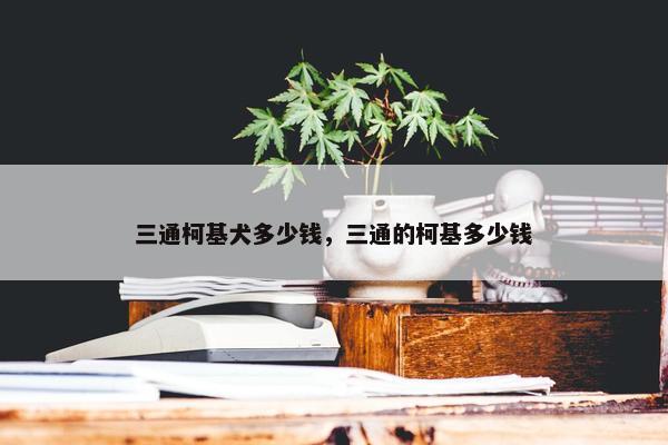 三通柯基犬多少钱，三通的柯基多少钱