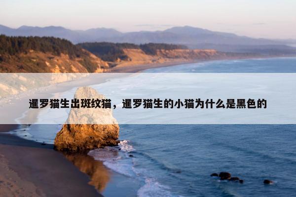 暹罗猫生出斑纹猫，暹罗猫生的小猫为什么是黑色的