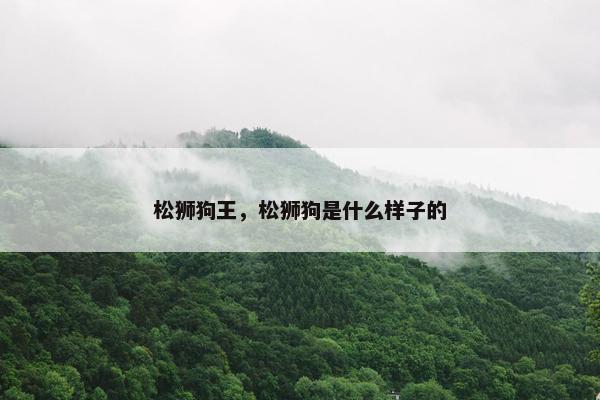 松狮狗王，松狮狗是什么样子的