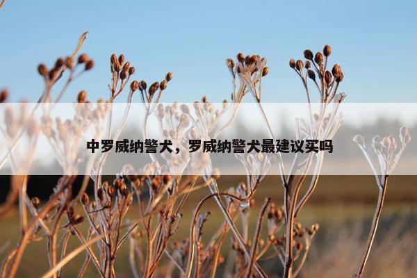 中罗威纳警犬，罗威纳警犬最建议买吗