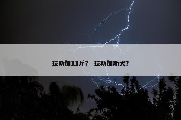 拉斯加11斤？ 拉斯加斯犬？