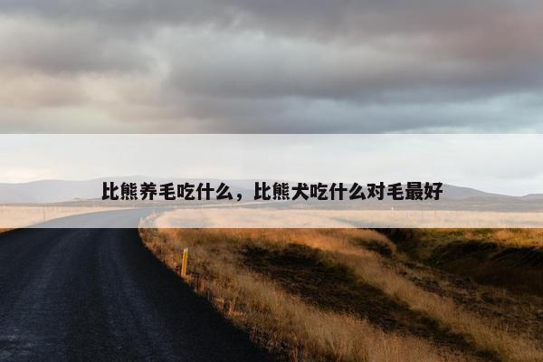 比熊养毛吃什么，比熊犬吃什么对毛最好