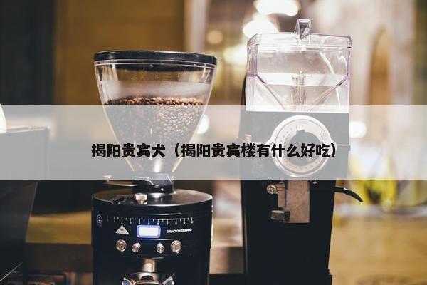 揭阳贵宾犬（揭阳贵宾楼有什么好吃）