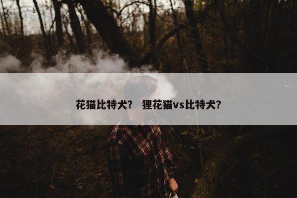 花猫比特犬？ 狸花猫vs比特犬？