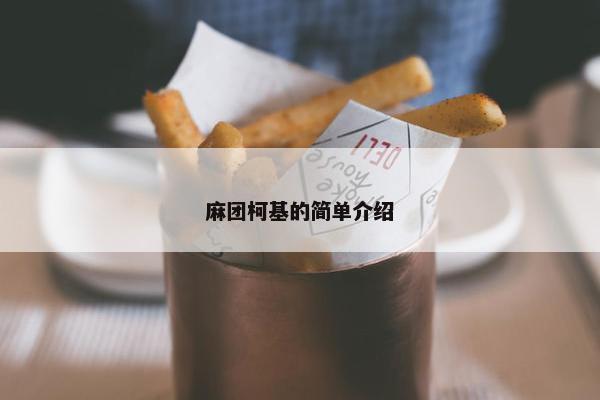 麻团柯基的简单介绍