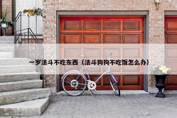 一岁法斗不吃东西（法斗狗狗不吃饭怎么办）