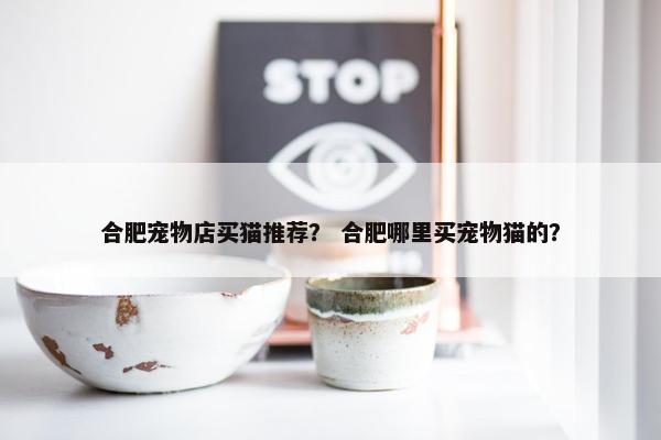 合肥宠物店买猫推荐？ 合肥哪里买宠物猫的？