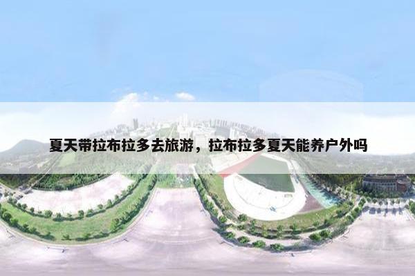 夏天带拉布拉多去旅游，拉布拉多夏天能养户外吗