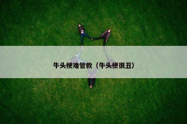牛头梗难管教（牛头梗很丑）