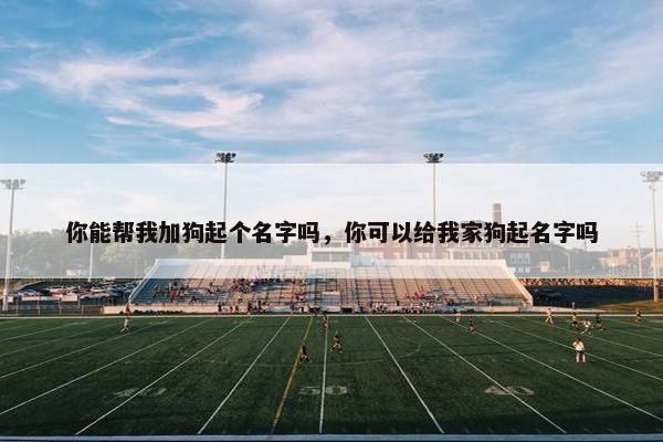 你能帮我加狗起个名字吗，你可以给我家狗起名字吗