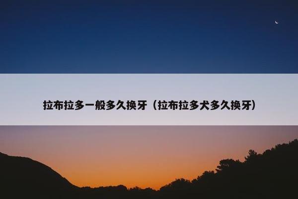 拉布拉多一般多久换牙（拉布拉多犬多久换牙）