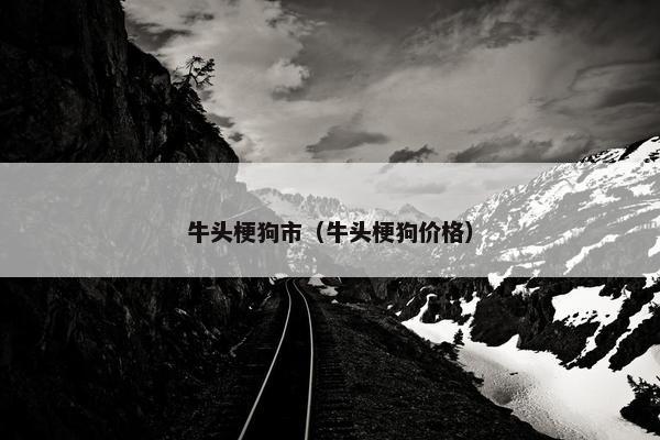 牛头梗狗市（牛头梗狗价格）