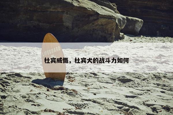 杜宾威慑，杜宾犬的战斗力如何