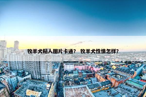 牧羊犬粘人图片卡通？ 牧羊犬性情怎样？