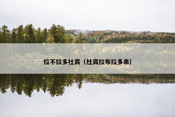 拉不拉多杜宾（杜宾拉布拉多串）