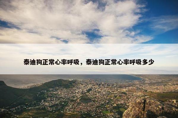 泰迪狗正常心率呼吸，泰迪狗正常心率呼吸多少
