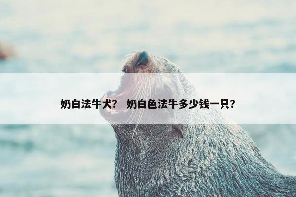 奶白法牛犬？ 奶白色法牛多少钱一只？