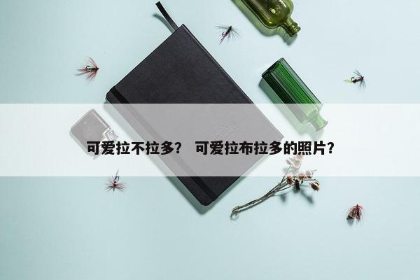 可爱拉不拉多？ 可爱拉布拉多的照片？