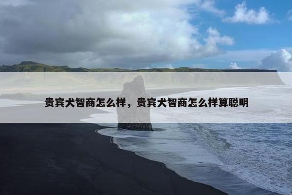 贵宾犬智商怎么样，贵宾犬智商怎么样算聪明