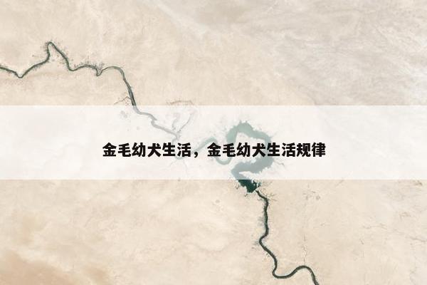 金毛幼犬生活，金毛幼犬生活规律