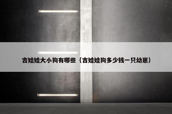 吉娃娃大小狗有哪些（吉娃娃狗多少钱一只幼崽）