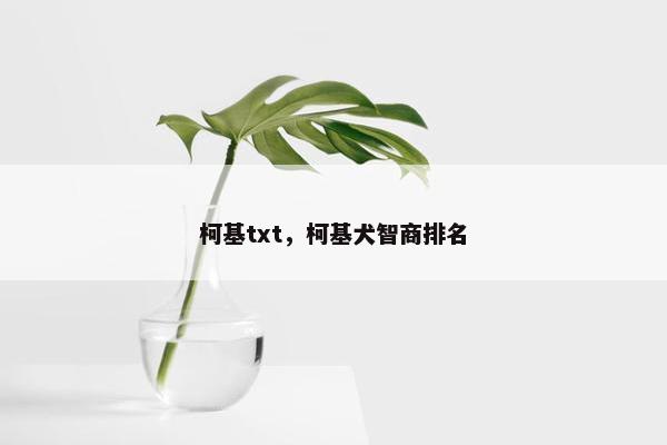 柯基txt，柯基犬智商排名