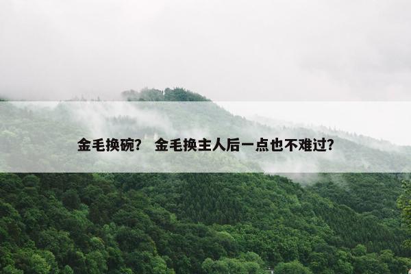 金毛换碗？ 金毛换主人后一点也不难过？