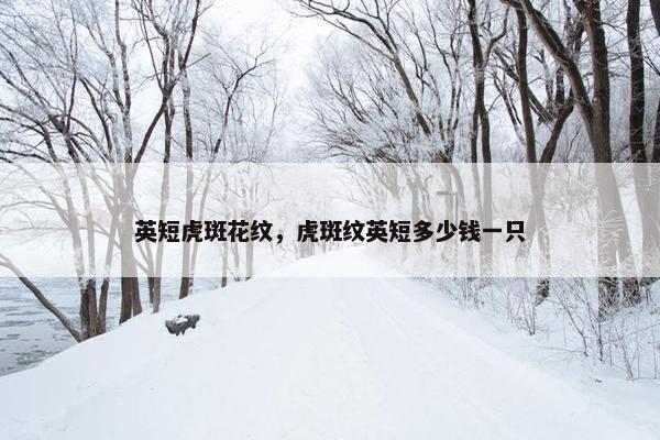 英短虎斑花纹，虎斑纹英短多少钱一只