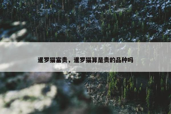 暹罗猫富贵，暹罗猫算是贵的品种吗