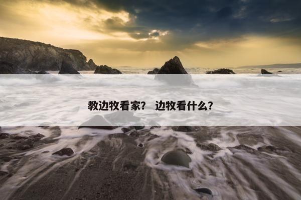 教边牧看家？ 边牧看什么？