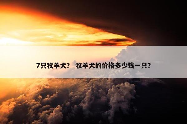 7只牧羊犬？ 牧羊犬的价格多少钱一只？