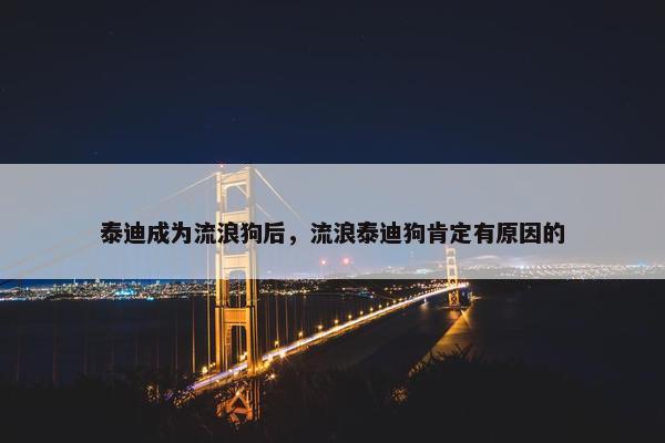 泰迪成为流浪狗后，流浪泰迪狗肯定有原因的